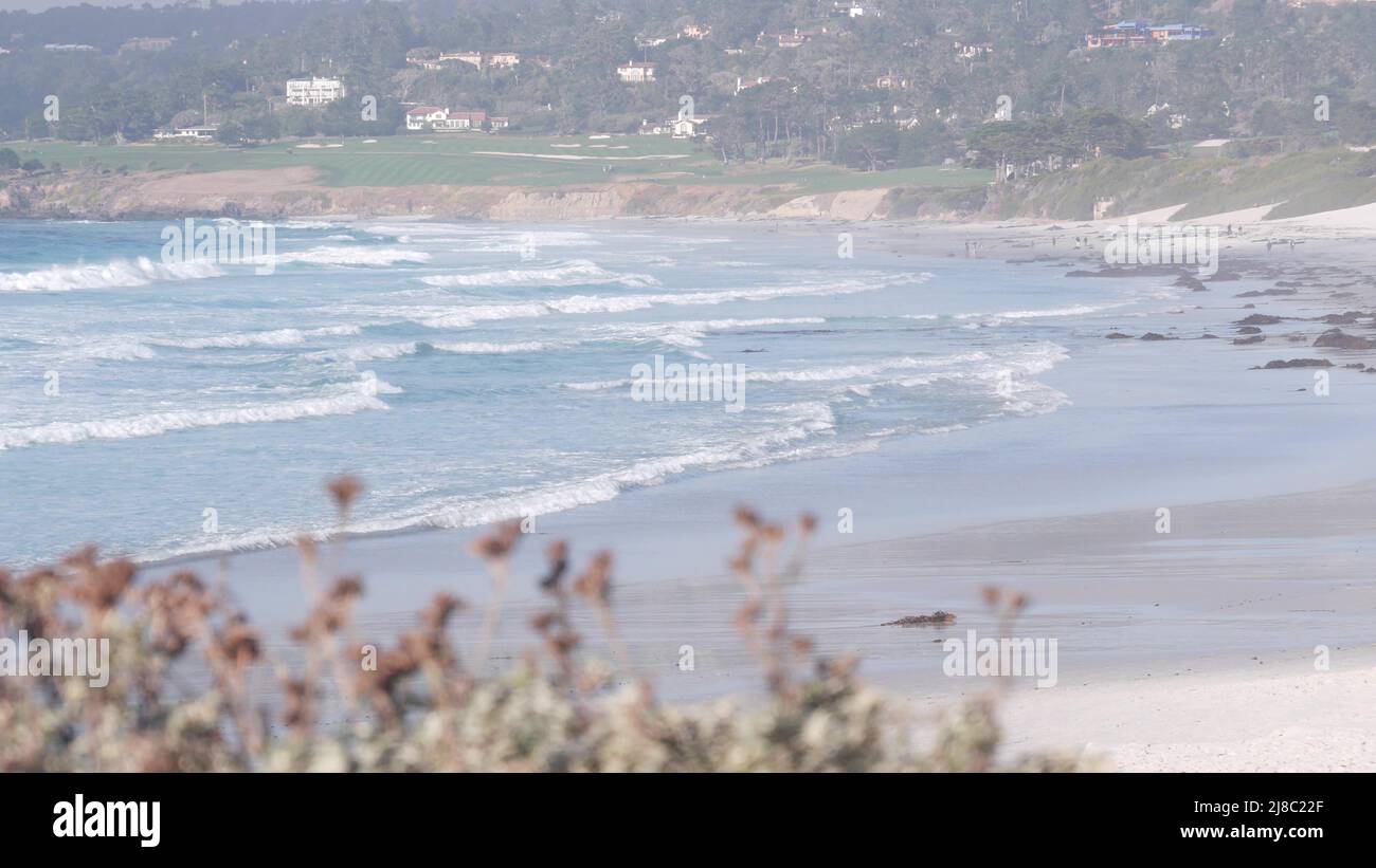 Empty ocean sandy beach in Carmel, Monterey bay nature, California