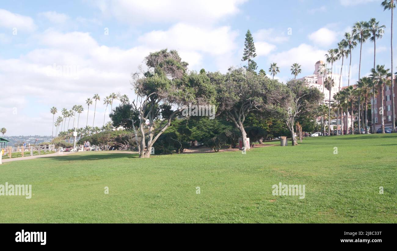 Row palm trees rocky point hi-res stock photography and images - Alamy