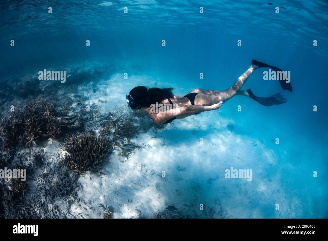 Freediver swimming at Heron Island, Souther Great Barrier Reef, Queensland, Australia Stock Photo
