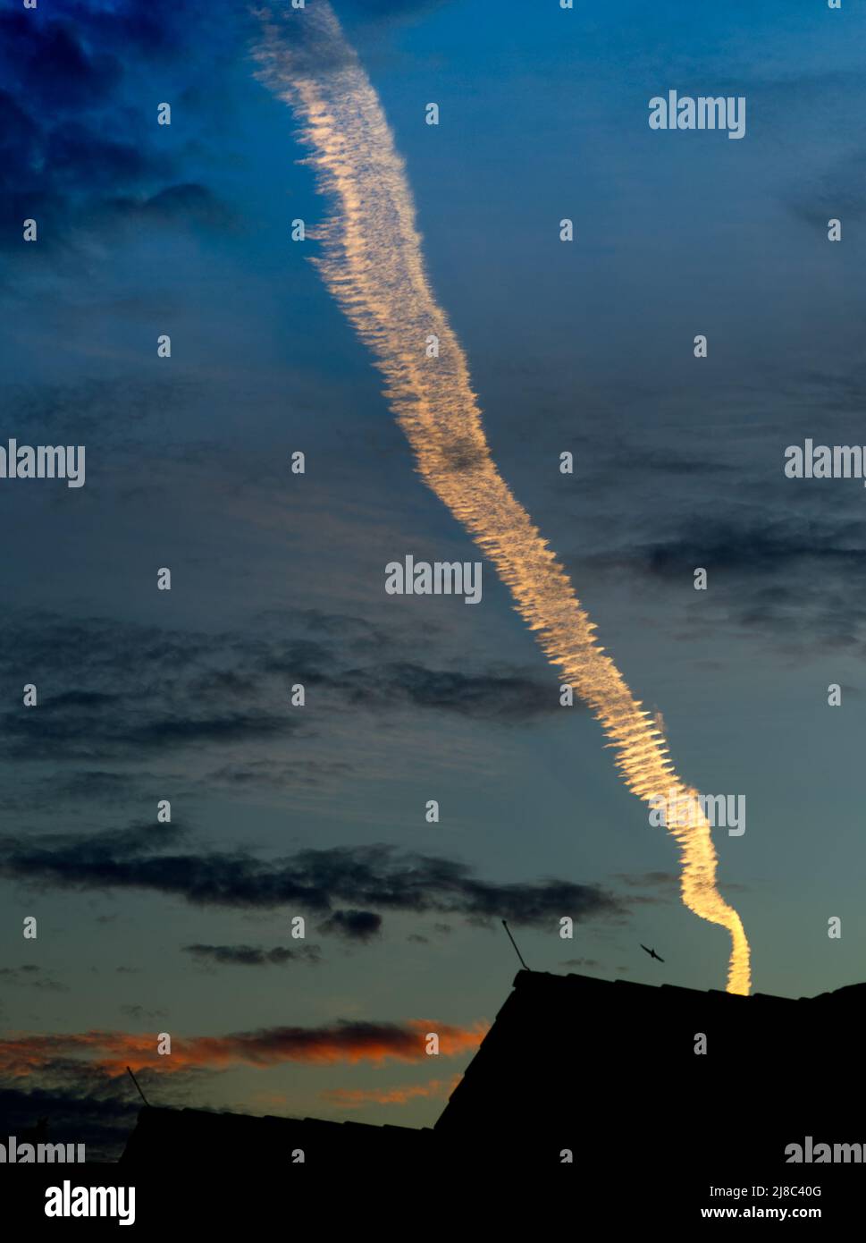 single appealing and luminous condensation trail in bright light orange color above silhouettes of roofs in the dark blue evening sky (upright format) Stock Photo