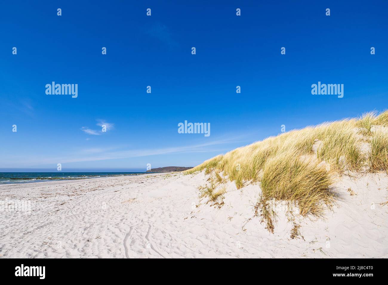 Beach and dunes in Vitte on the island Hiddensee, Germany. Stock Photo