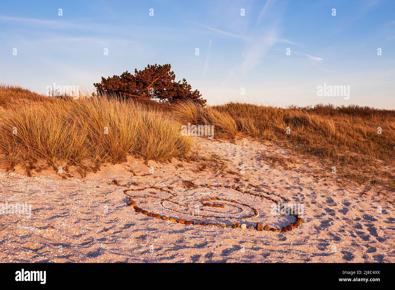 Beach in Kloster on the island Hiddensee, Germany. Stock Photo