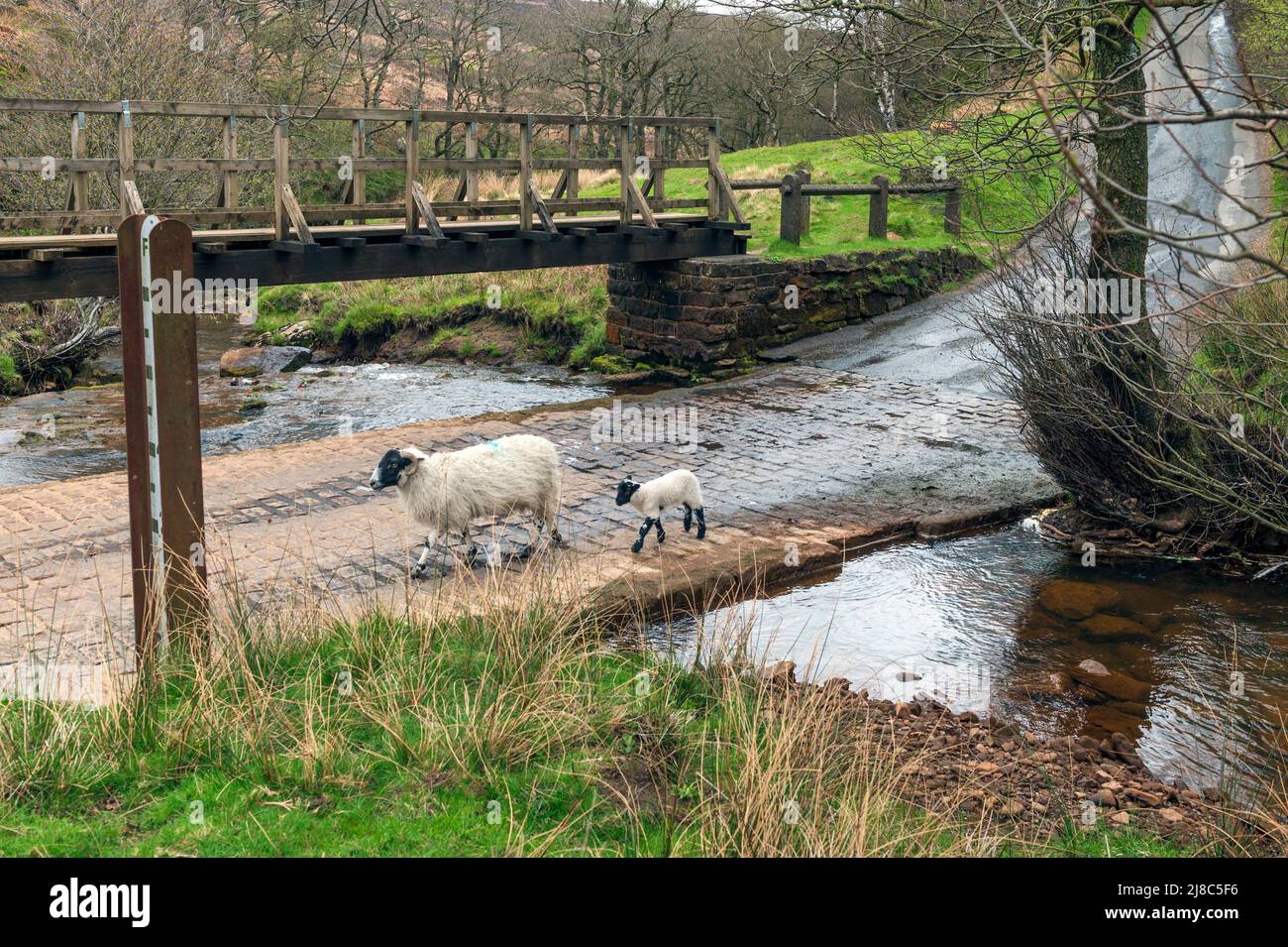 The Footbridge and Ford across Baysdale Beck at Hob Hole near Westerdale in The North York Moors Stock Photo