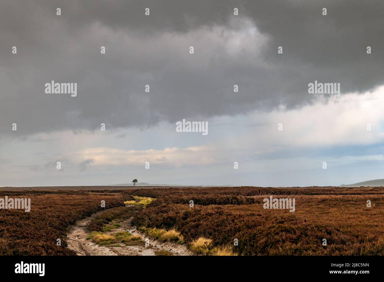 Rain squall at Park Rigg near Goathland in the North York Moors national park. Stock Photo