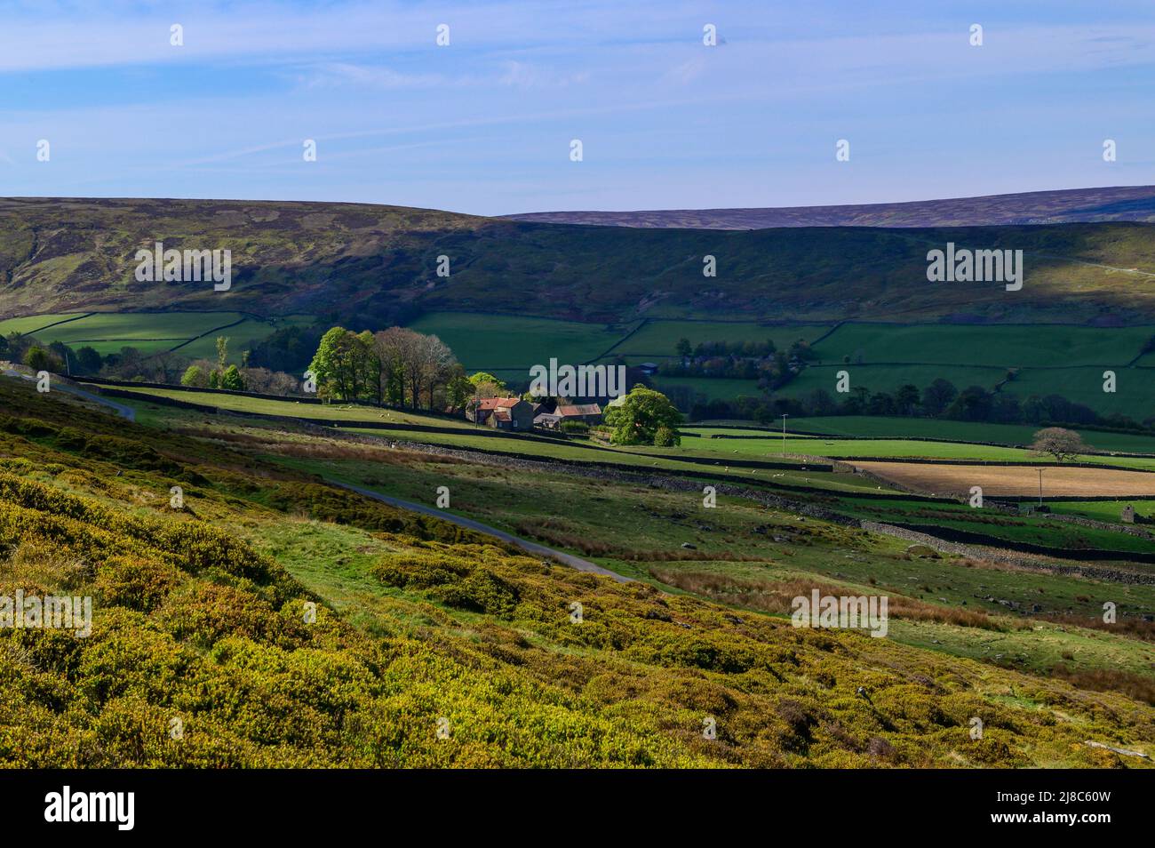 Westerdale from Castleton Rigg, North York Moors national park Stock Photo