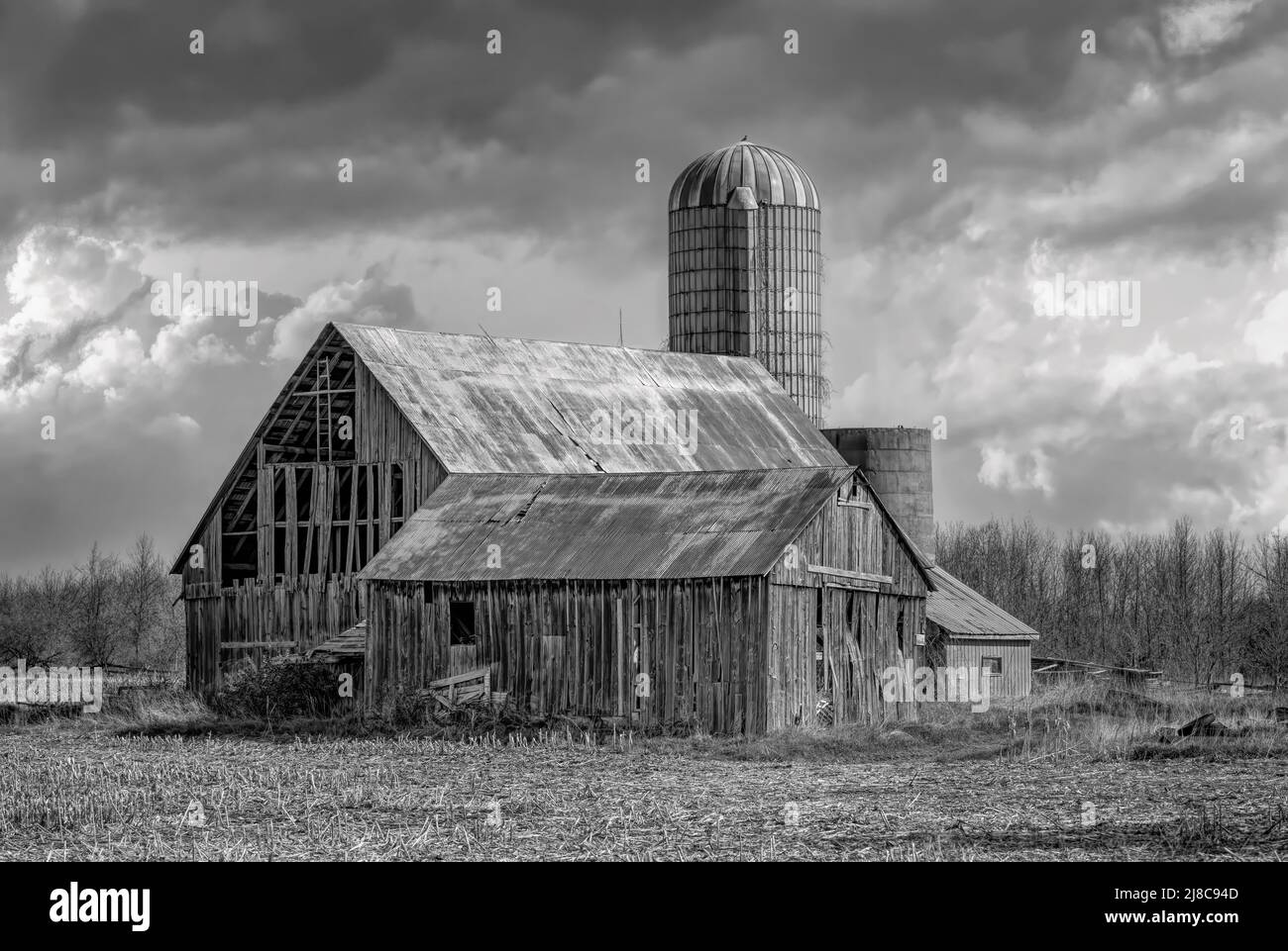 Old barn in black and white along highway 16 near Merrickville, Canada Stock Photo