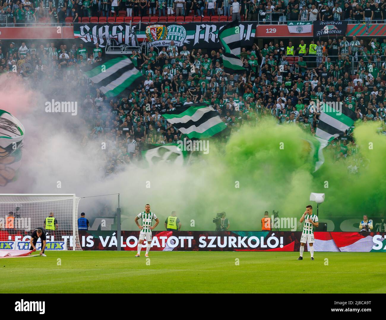 BUDAPEST, HUNGARY - MAY 27: (r-l) Endre Botka of Ferencvarosi TC