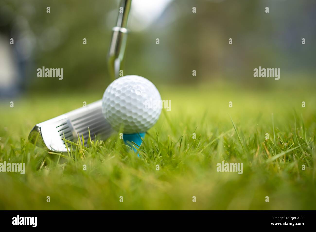 Golf club and ball on tee in front of driver Stock Photo