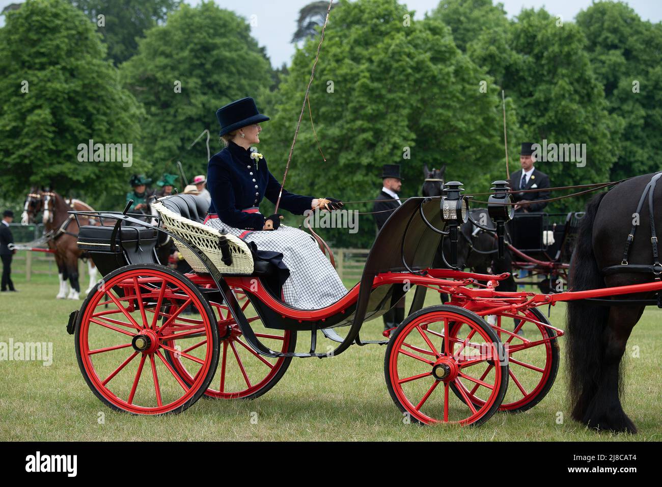 Windsor, Berkshire, UK. 15th May, 2022. Sophie, Countess of Wessex was driving a carriage in the Champagne Laurent-Perrier Meet of the British Driving Society, Return from Drive today in the private grounds of Windsor Castle. Her daughter Lady Louise Windsor was also driving another carriage belonged to her late Grandfather, the Duke of Edinburgh. Credit: Maureen McLean/Alamy Live News Stock Photo