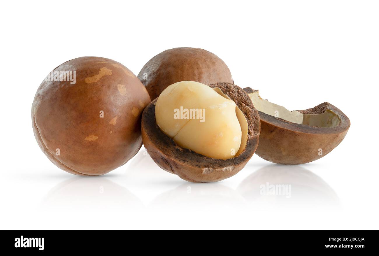 Composition of macadamia nuts on white background with clipping path
