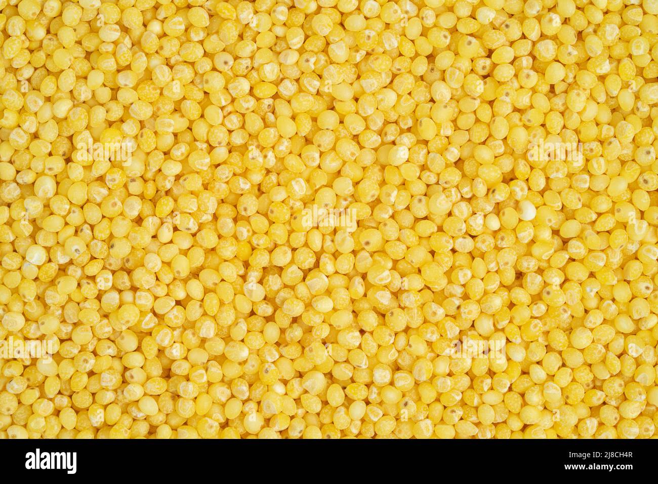 Dry millet pattern. Food background, top view. Stock Photo