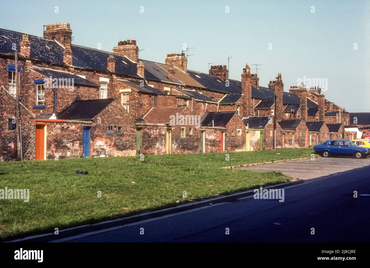 1983 archive photograph of houses in Burbank Street seen from Moreland