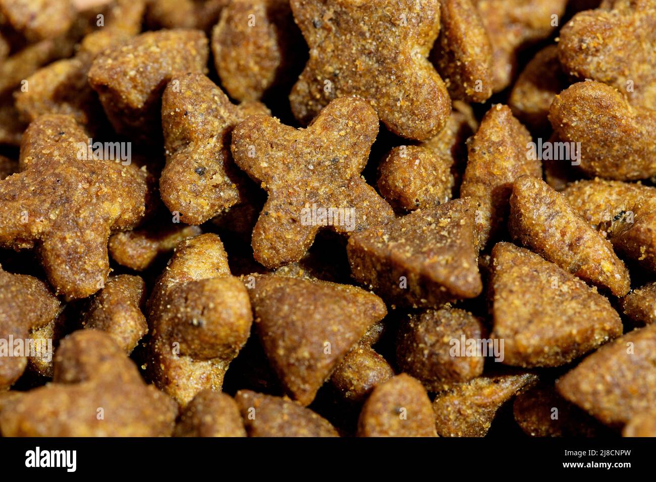 Dog or cat food or kibble shot up close. Top view background Stock
