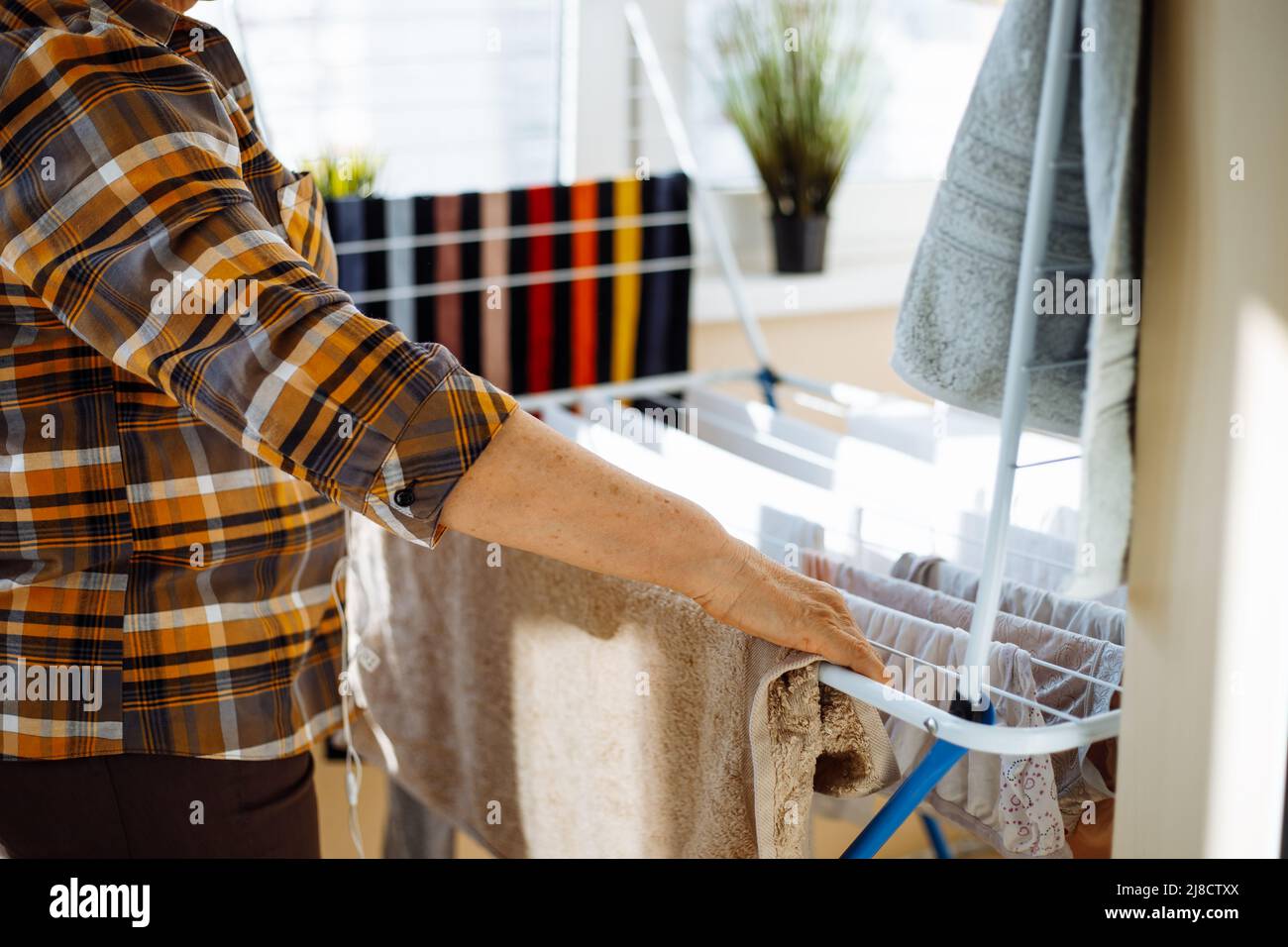 Woman on sunny day standing in home room near clothesline board and hanging clean wet clothing back view closeup. Housewife tidy up house and Stock Photo