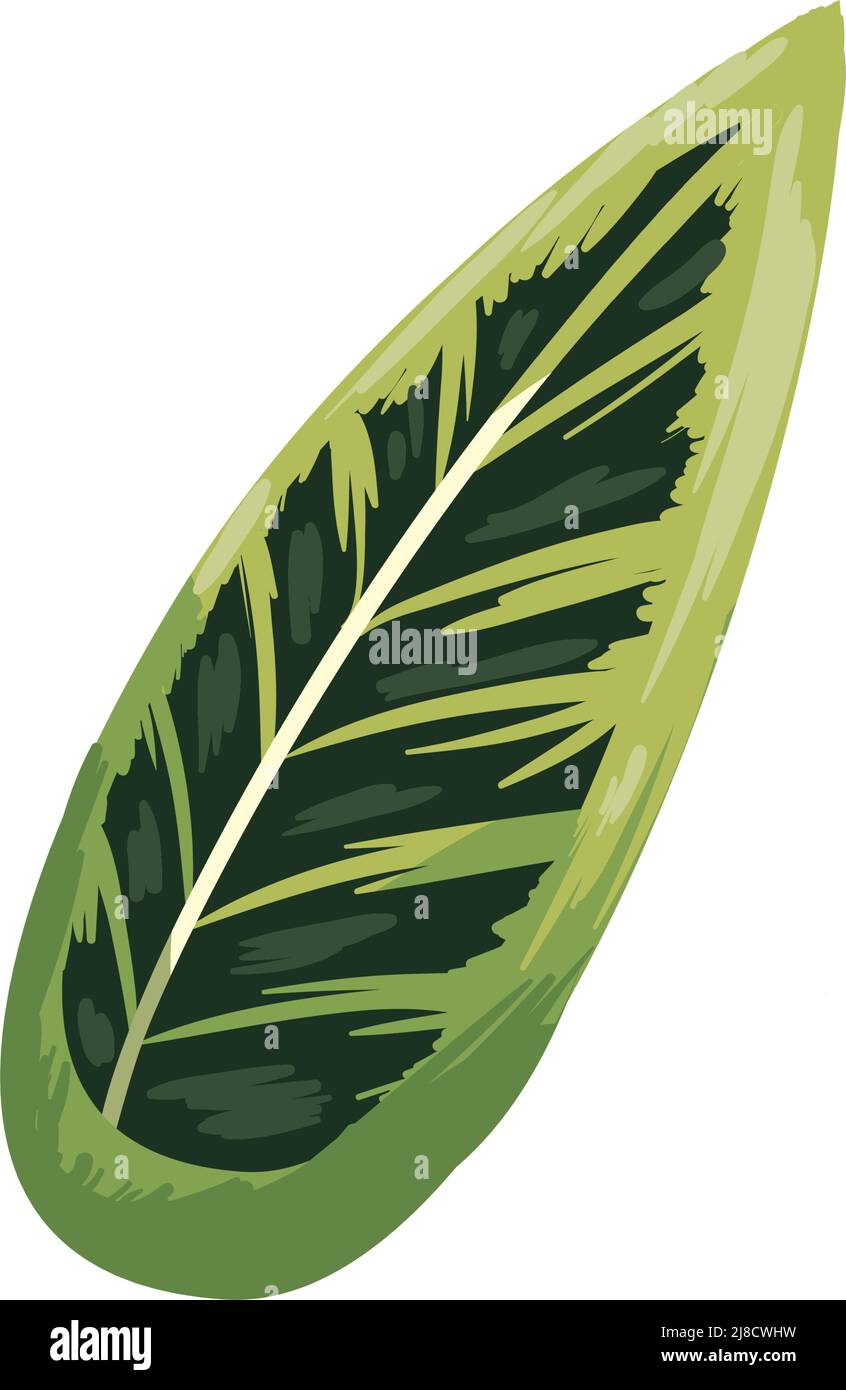 flat realistic green leaf Stock Vector Image & Art - Alamy