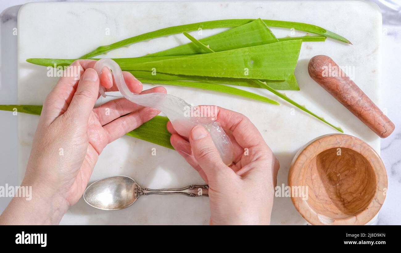 Aloe Vera homemade face and body scrub recipe. Woman's hands peeling