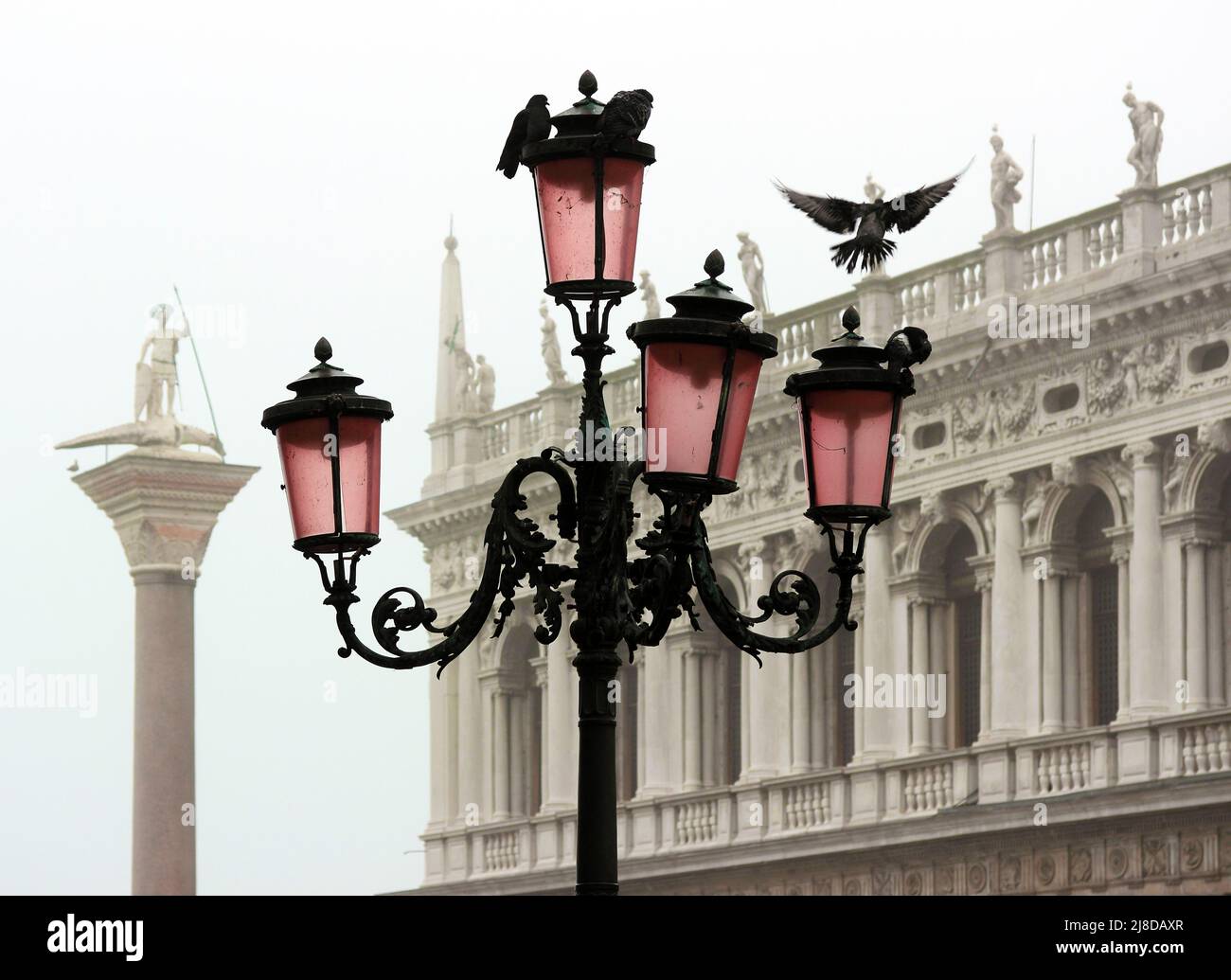 Romantic view of a typical Venetian lamppost with doves. In the background, the Marciana Library and the column of San Teodoro wrapped in mist Stock Photo