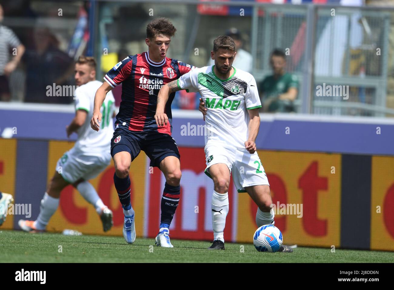 Bologna-Sassuolo