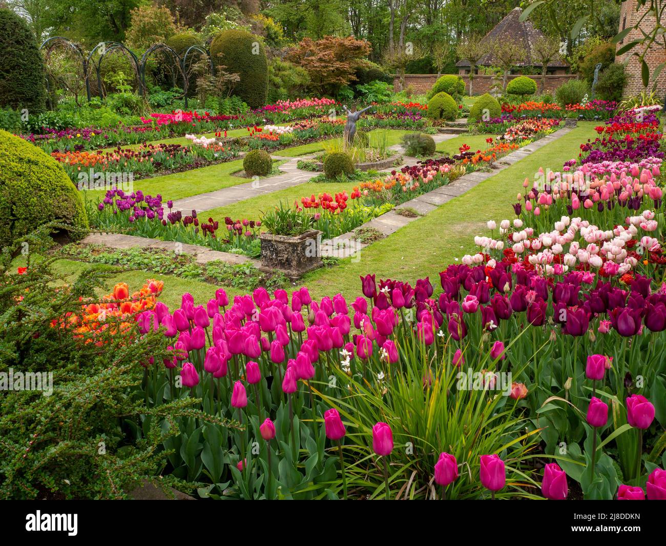 Stunning Chenies Manor Sunken Garden in all its Spring glory; many colourful tulips. 'Salmon Prince', 'Merlot', Curly Sue', 'Dior',Tulip'Backpacker'. Stock Photo