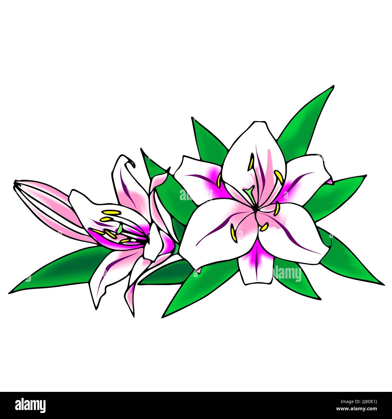 Botany Botanical Cut Out Stock Images Pictures Alamy