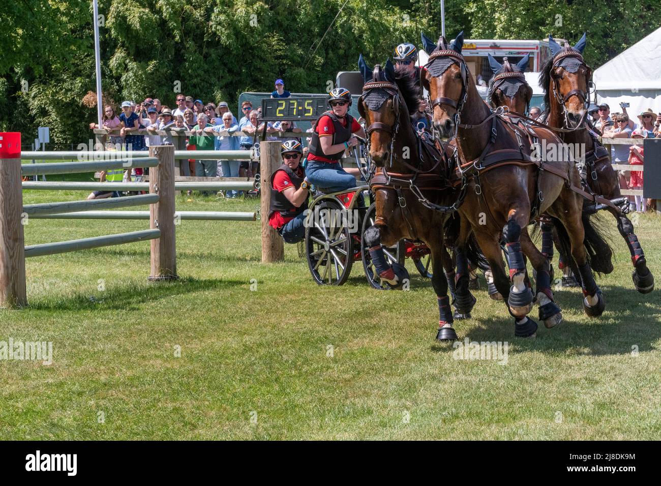 Obstacle driving horse four in hand hi-res stock photography and images ...