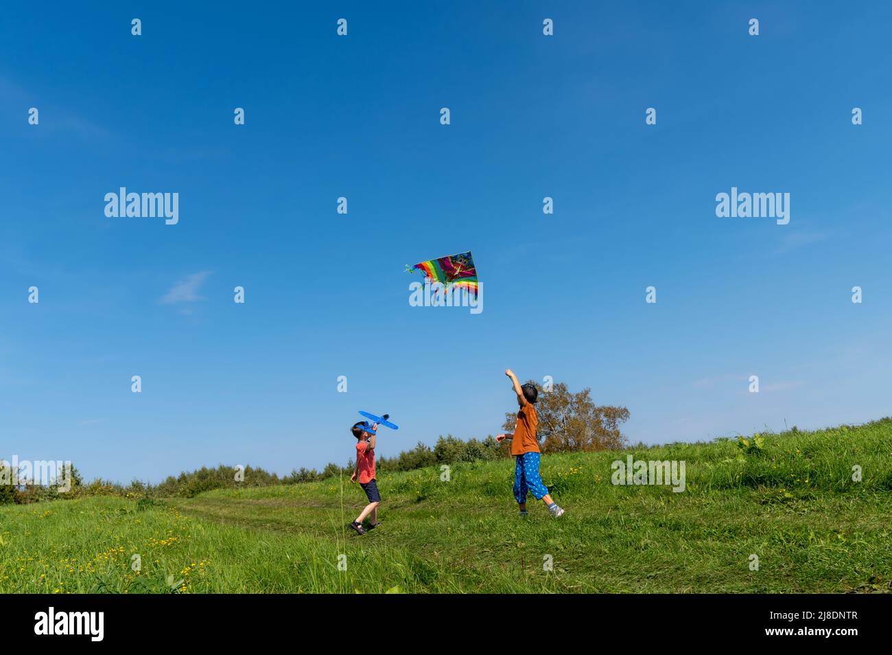 Two little boys playing together with kite and airplane toy in countryside. Stock Photo