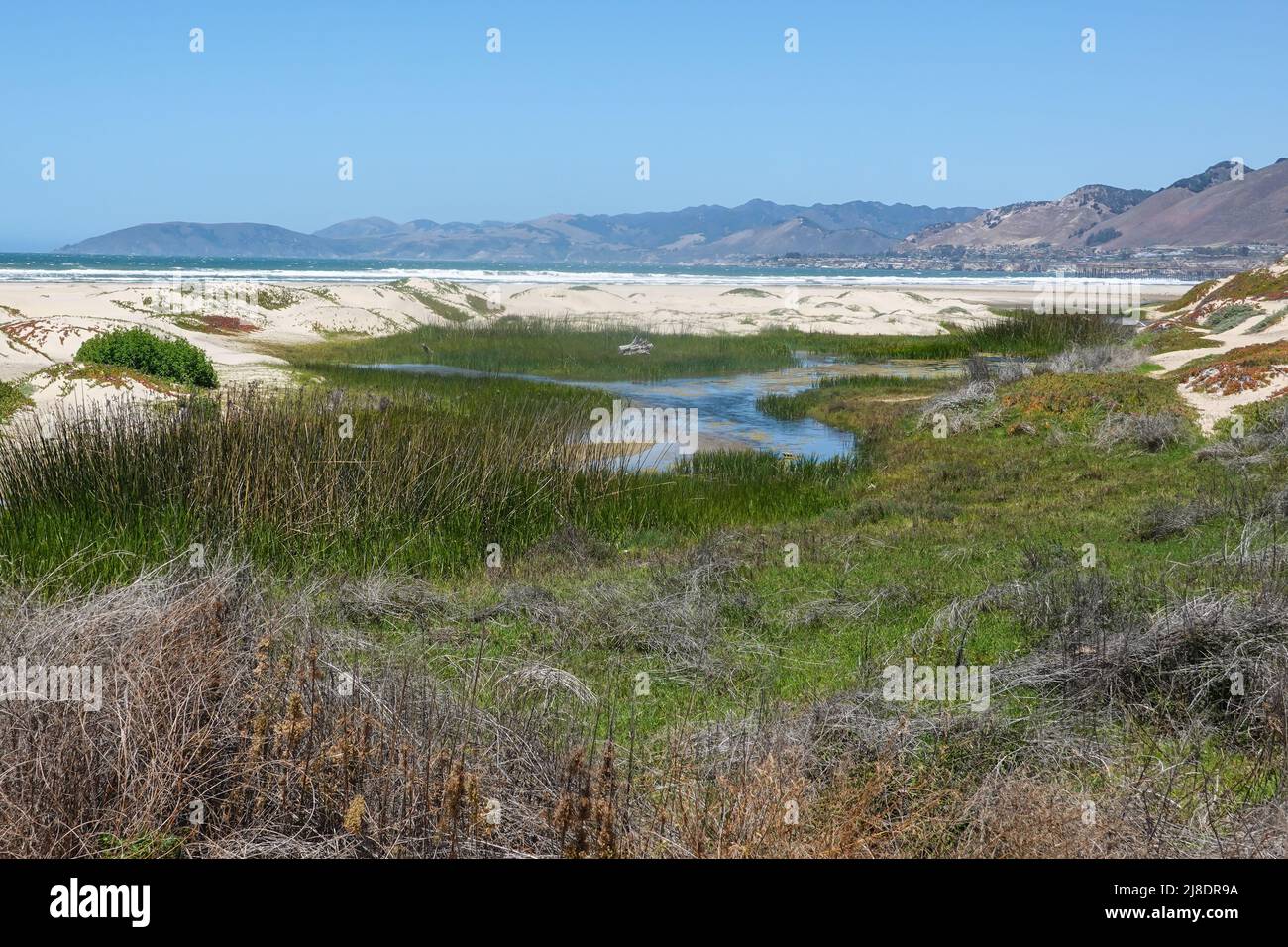 Looking north along Pismo Beach. San Luis Obispo County, California , USA. On the California Central coast Stock Photo