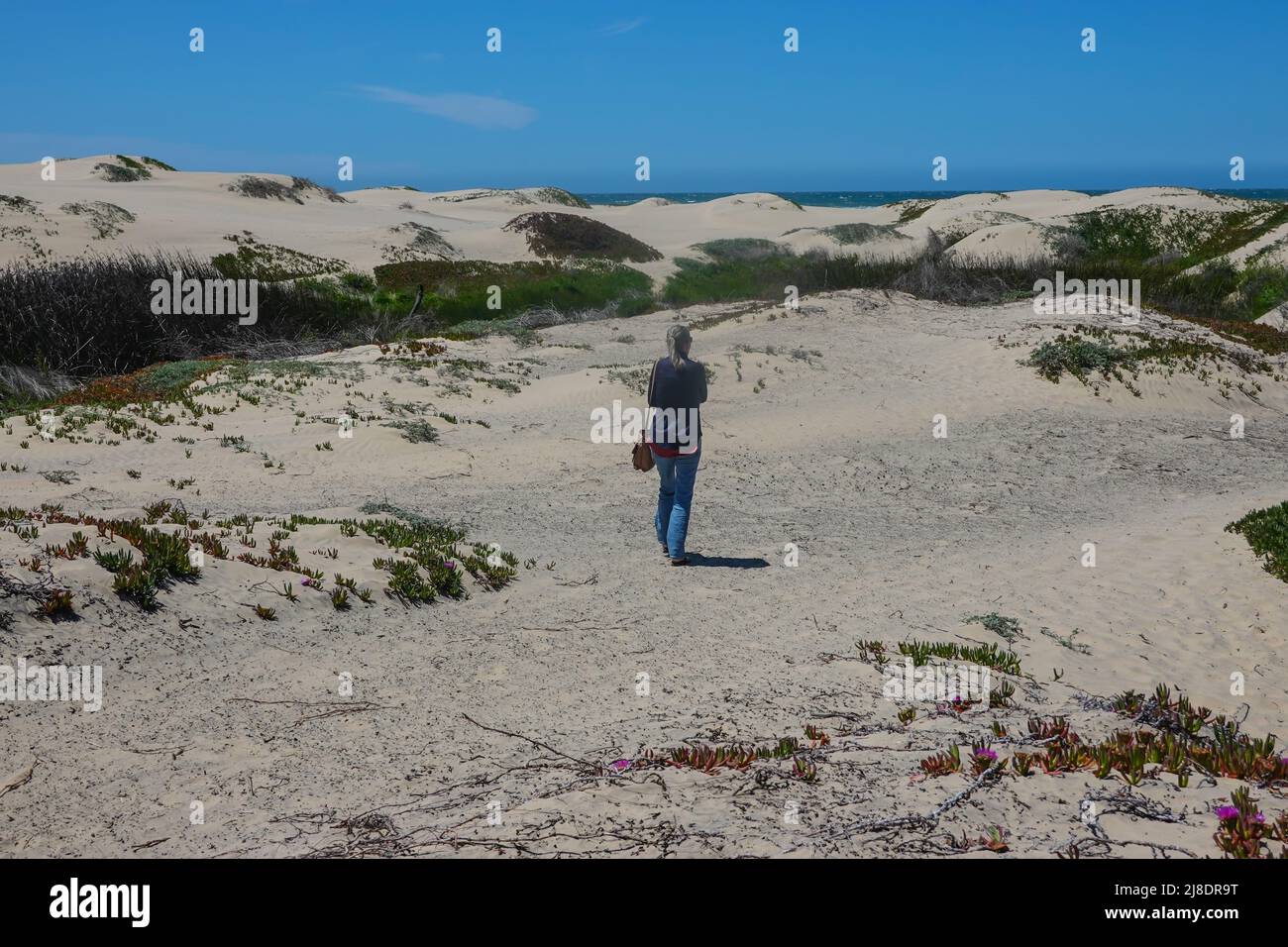 Woman walking through the sand dunes at Pismo Beach. San Luis Obispo County, California , USA. On the California Central coast Stock Photo