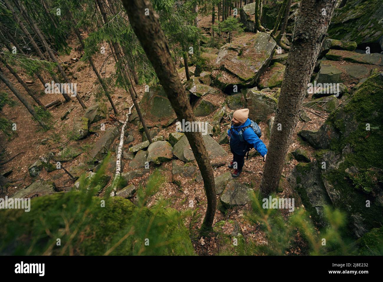 Top view of tourist doing trekking in woods Stock Photo