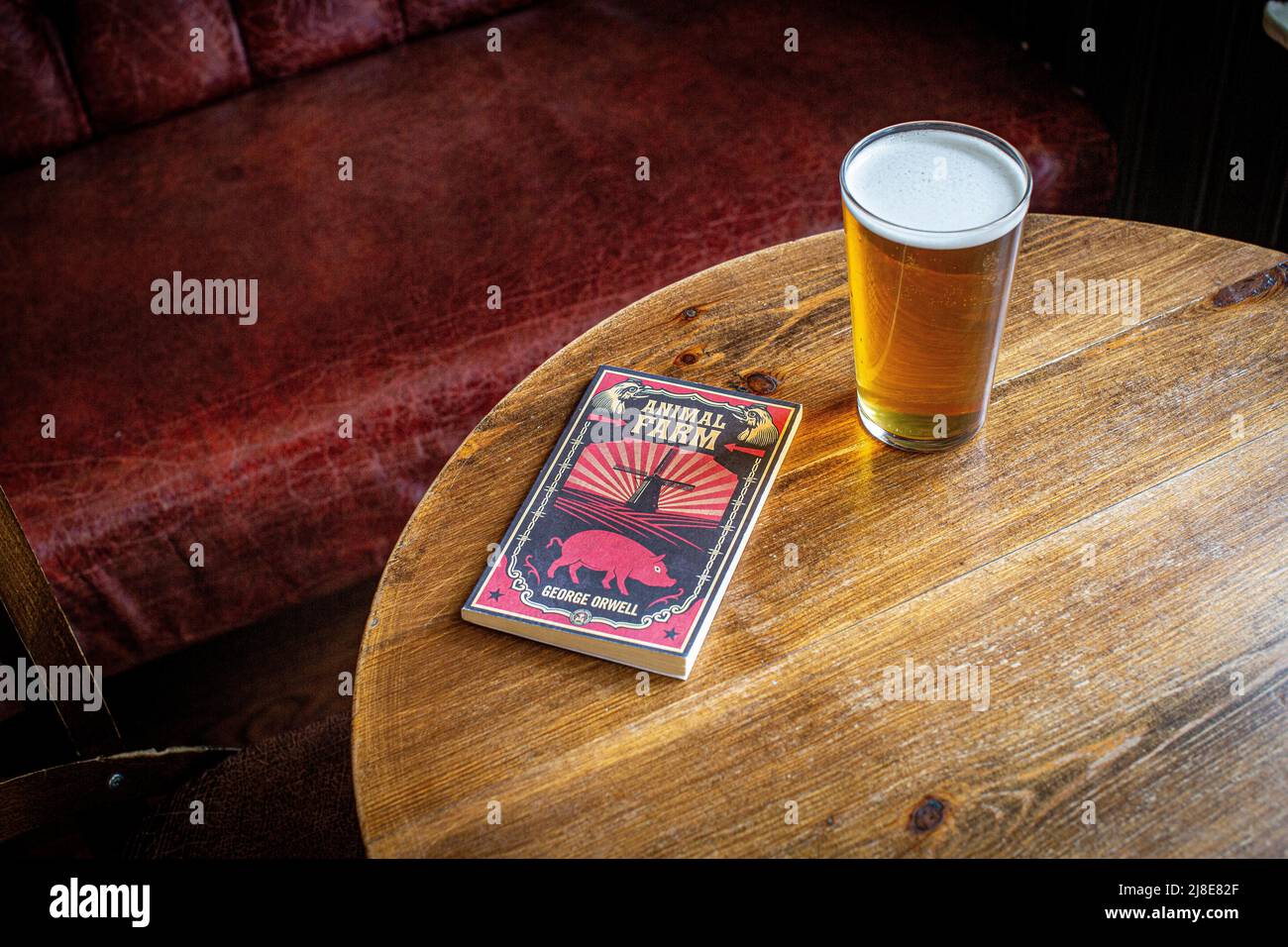 Animal Farm book by George Orwell with pint of lager  at The Dog and Duck pub, Soho, London, England, Stock Photo