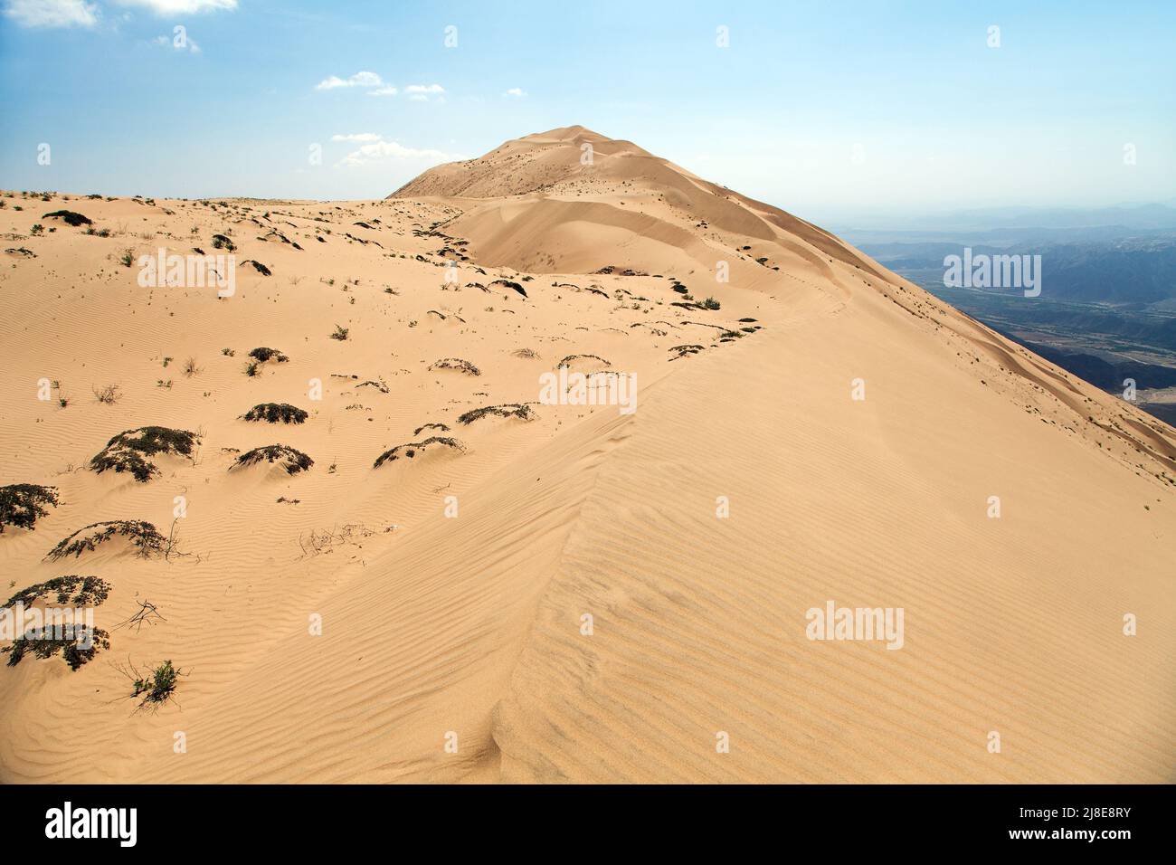 Cerro Blanco sand dune, the highest dunes on the world located near
