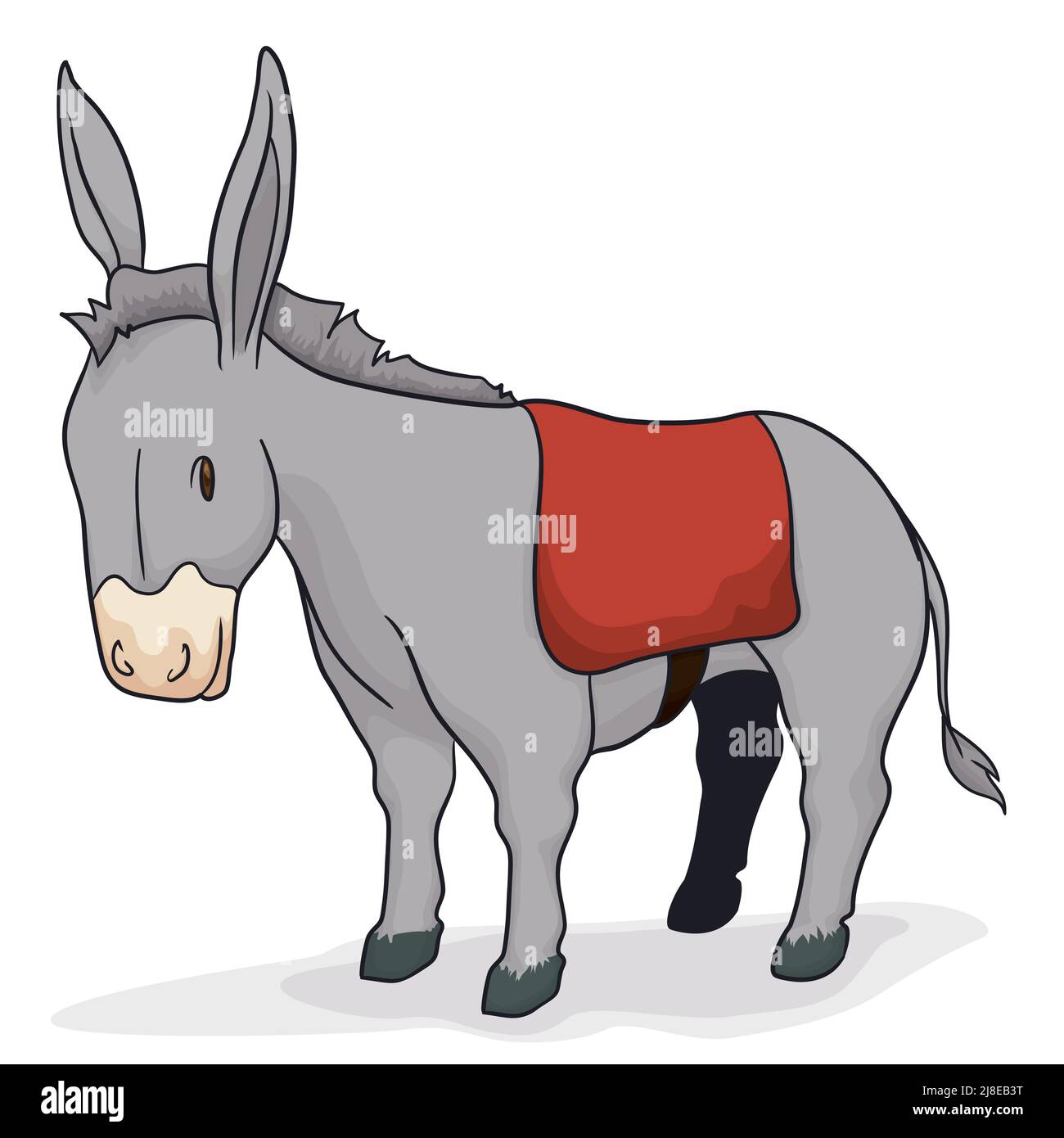 Calm donkey with long ears, tail, gray fur and a red saddle, ready to
