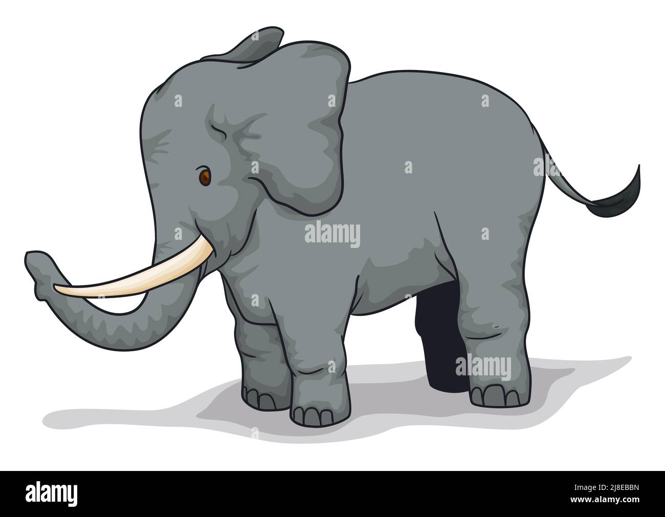 Cute gray elephant in cartoon style, with tail, tusks and big ears,  standing over white background Stock Vector Image & Art - Alamy