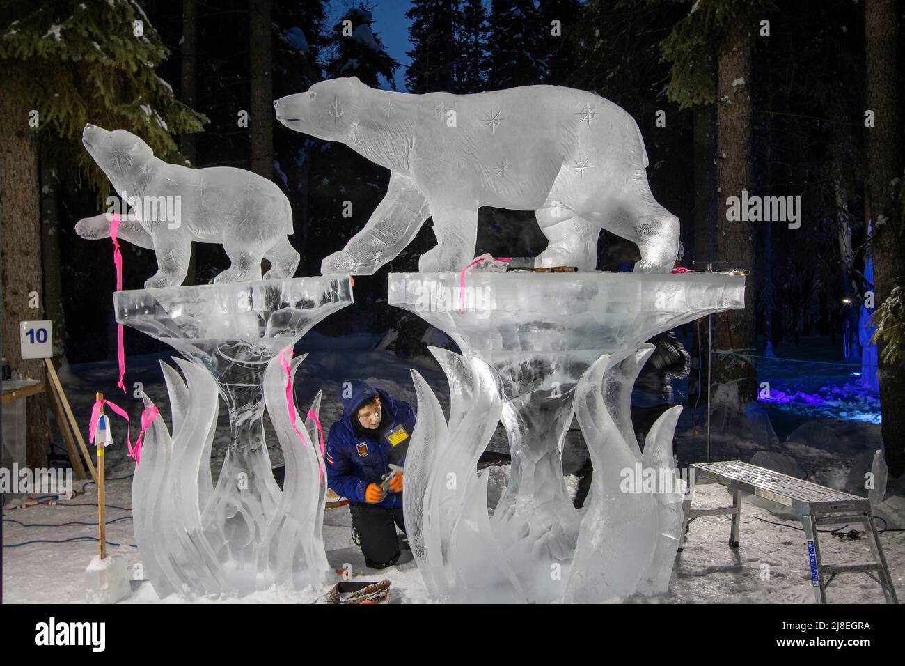 Man works to sculpt ice of bear carving, one of many ice carvngs seen at World Ice Art Championships outside Fairbanks, AK, in February. Stock Photo