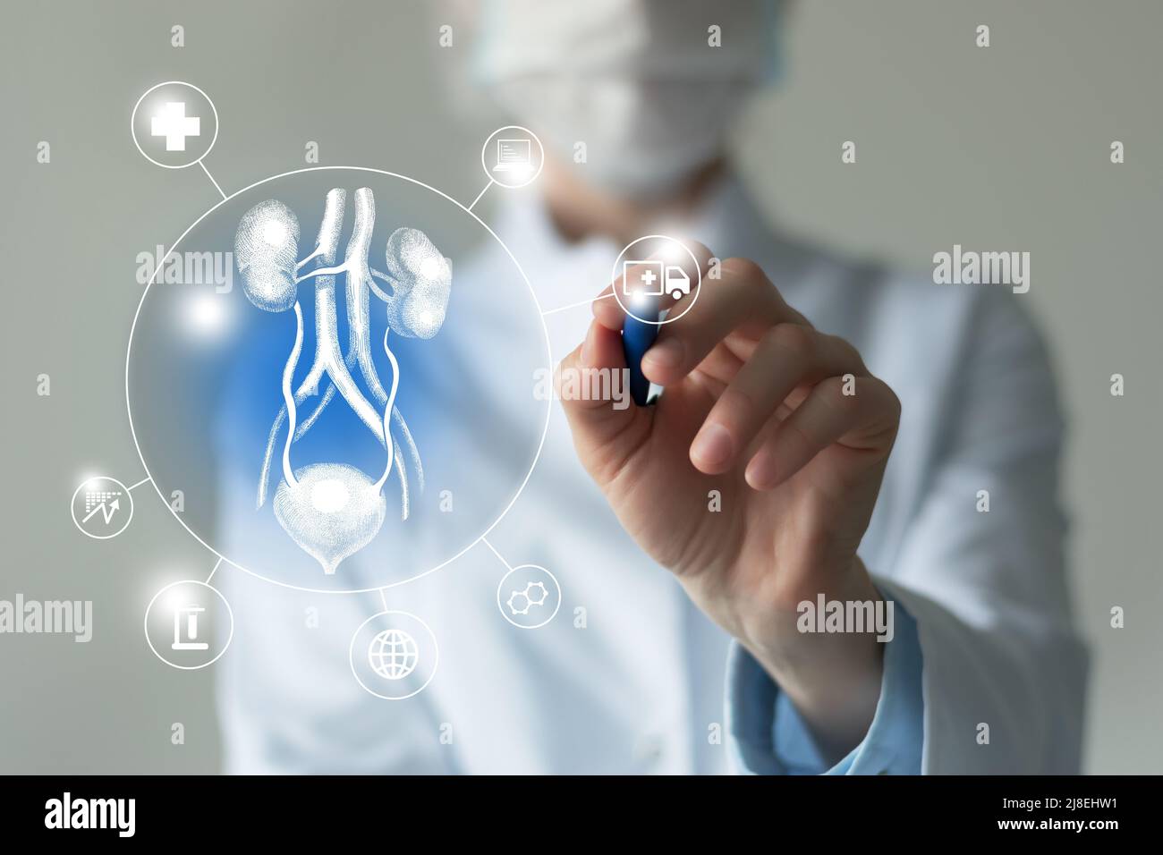 Telemedicine and human Bladder and Kidneys recovery concept. Neutral ...
