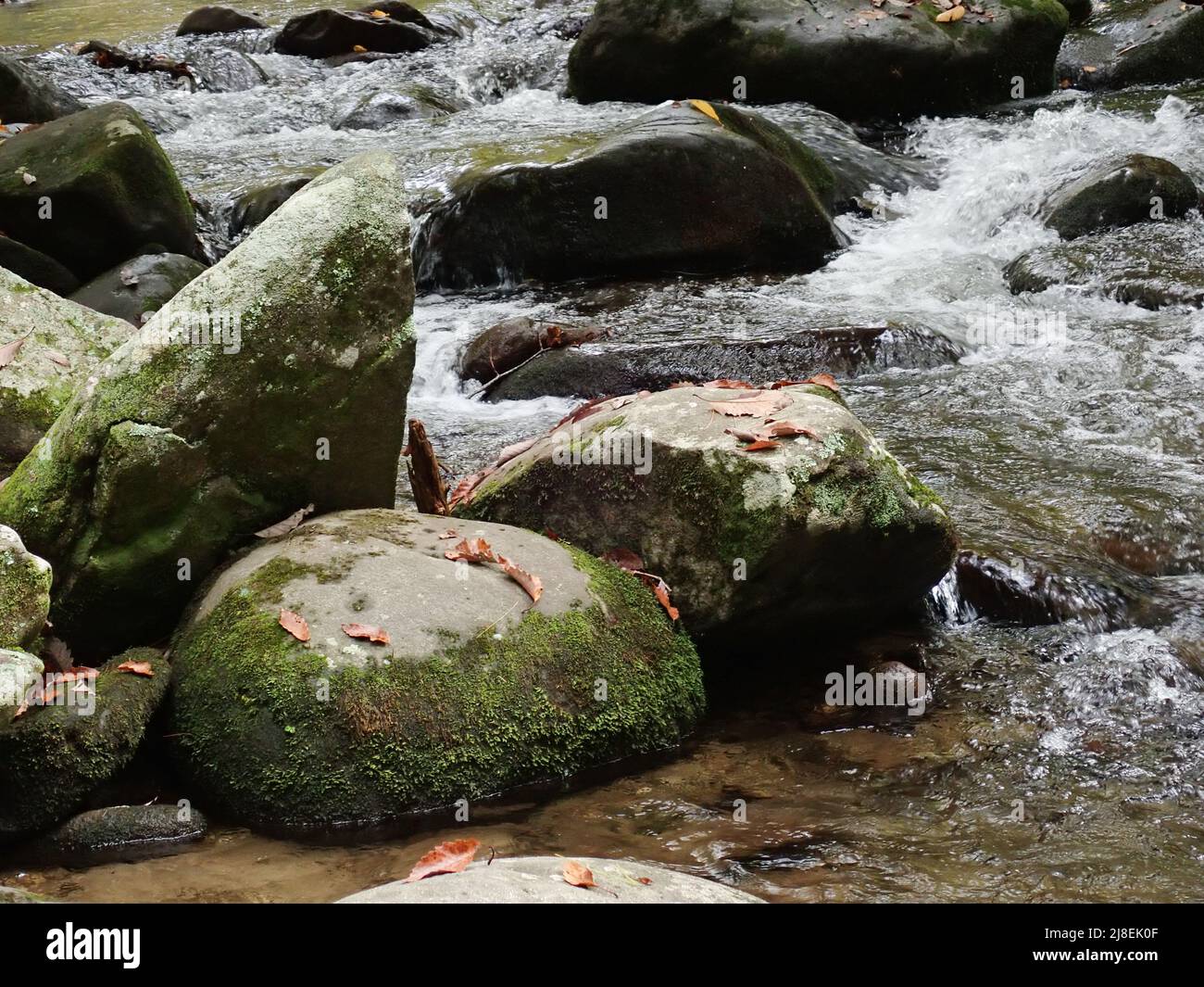 Cascades in the North USA Mountains Stock Photo Alamy