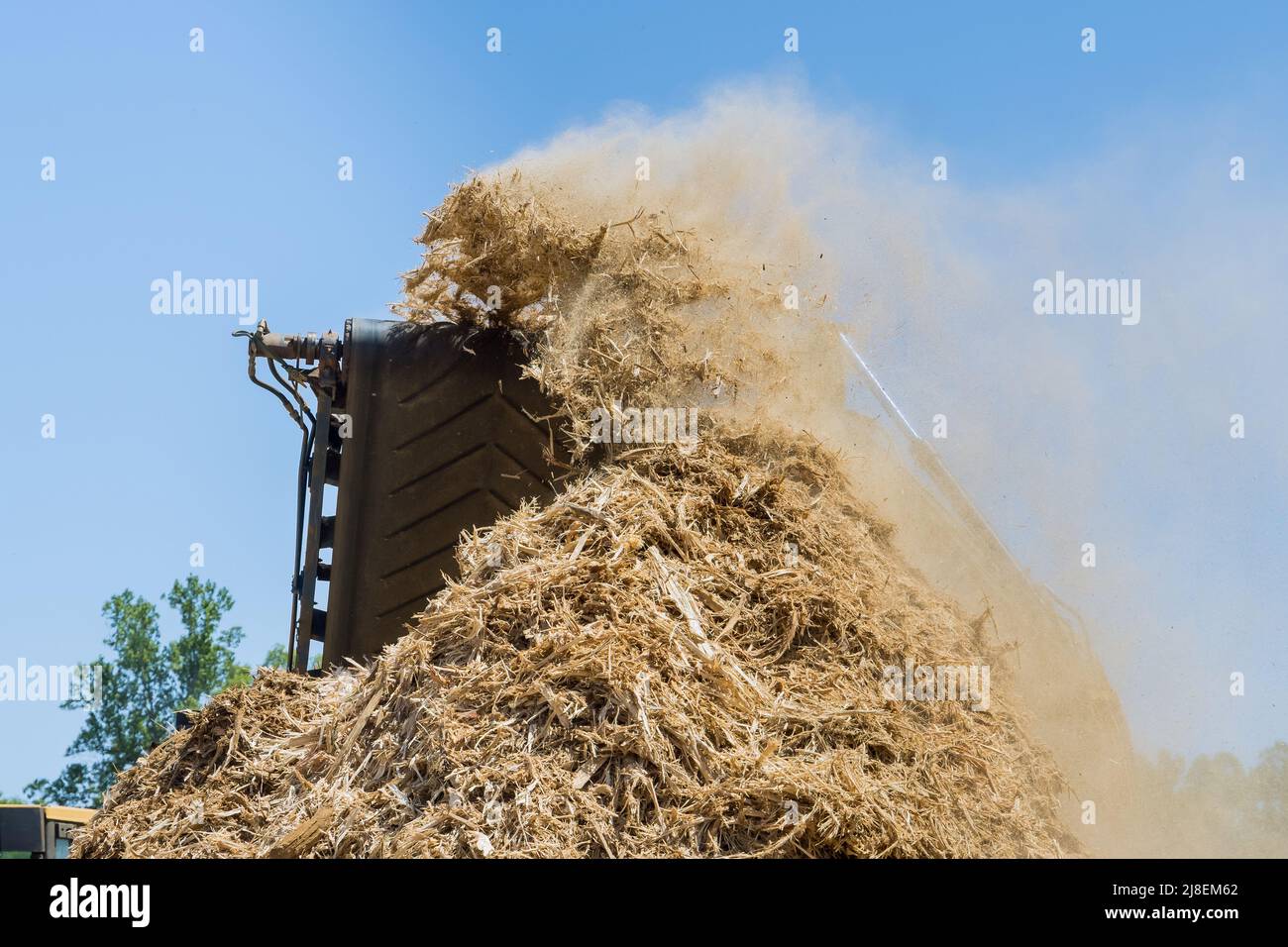 Work conveyor of wood roots crush with a chipper shredder Stock Photo