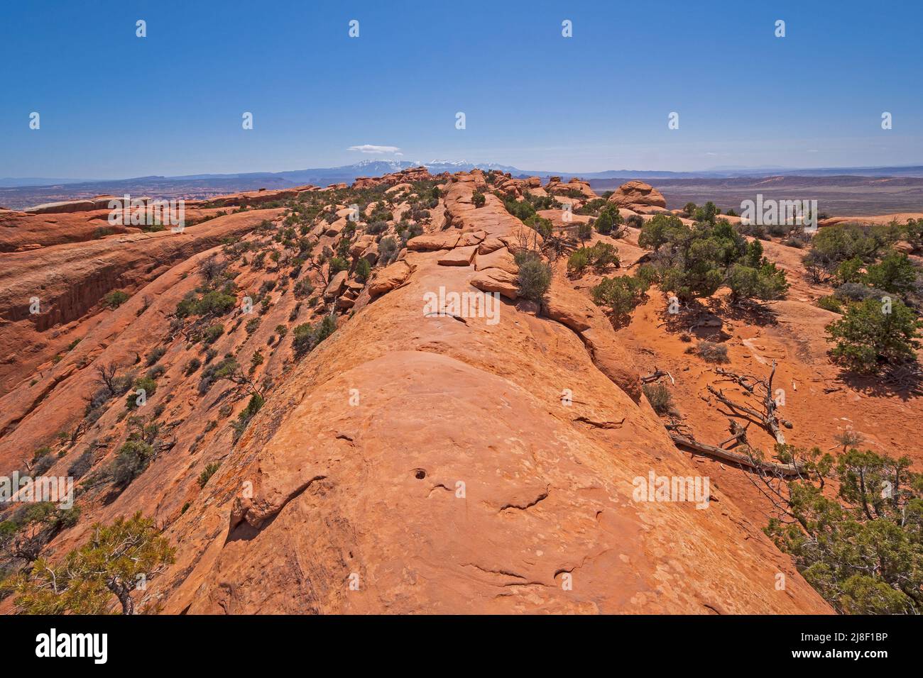 Trail on a Narrow Sandstone Ridge in Arches National park in Utah Stock Photo