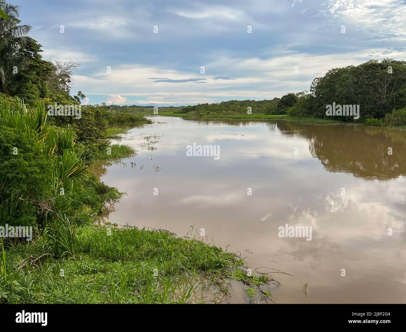 Yarapa River with reflections of the sky in the Peruvian Amazon Stock Photo