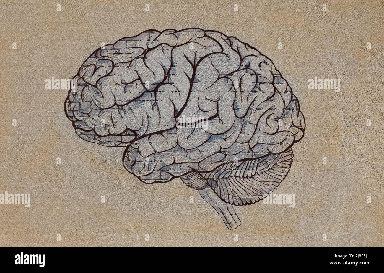 Drawn human brain on sketchy rough canvas with brick texture as mind concept, artificial intelligence, abstract background. иллюстрация Stock Photo