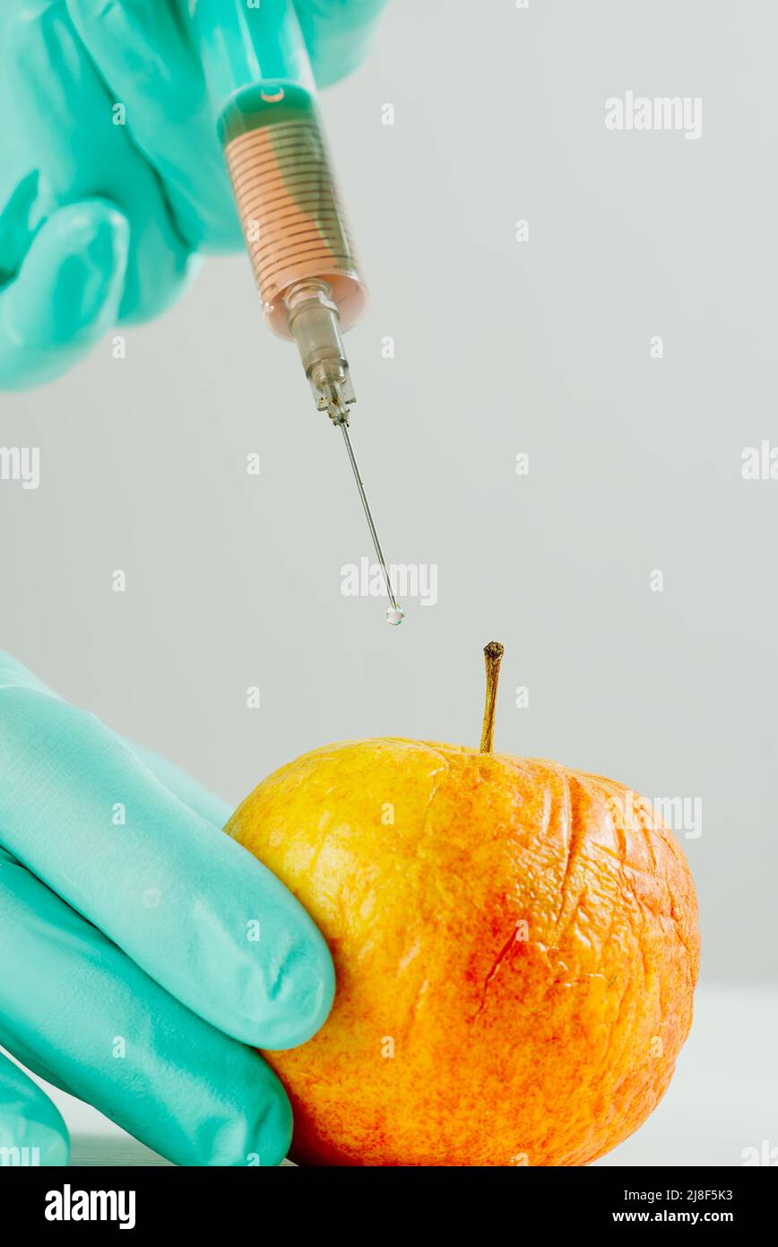 A hand in a medical glove inserts a syringe into apple. Harmful food additives. GMOs Concept Stock Photo