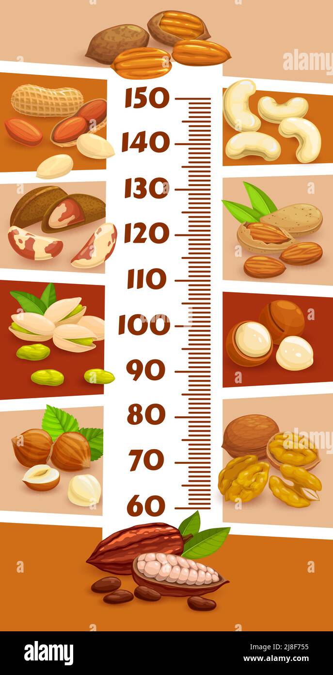 Height chart, kids growth ruler with cartoon nuts and cocoa beans