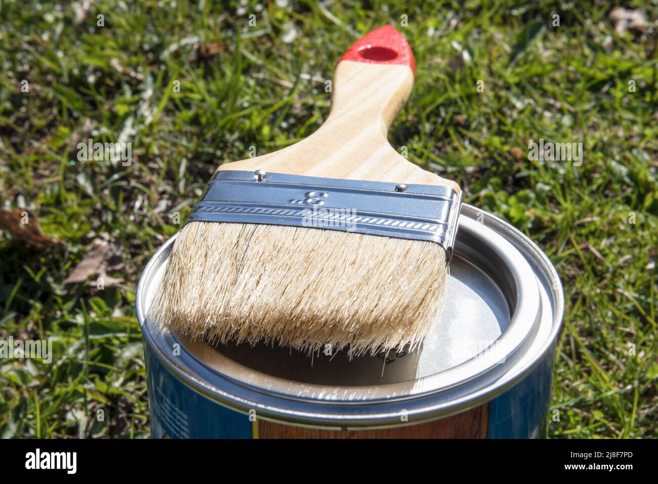 Clean paint brush on closed color can Stock Photo Alamy