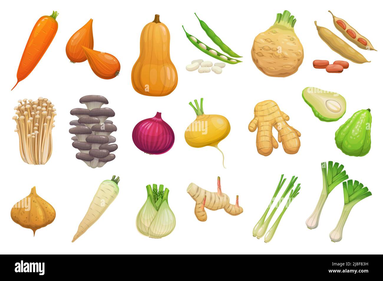 Cartoon vegetables, beans and mushrooms. Vector carrot, butternut pumpkin, shallots and celery tuber. Broad beans, enoki and oyster mushrooms, onion, ginger root and chayote or jicama with parsnips Stock Vector