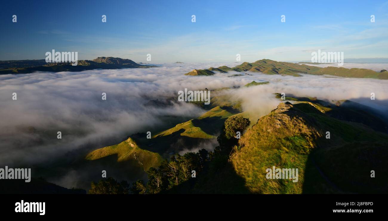 Morning fog at sunrise at Te Mata Peak, Havelock North, New Zealand Stock Photo