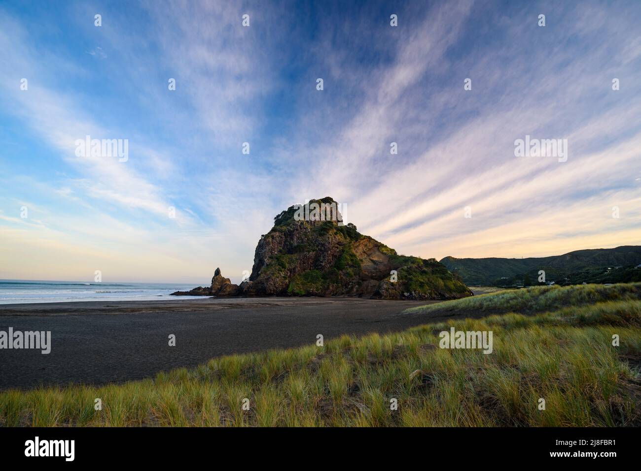 Lion Rock at Piha Beach, New Zealand Stock Photo
