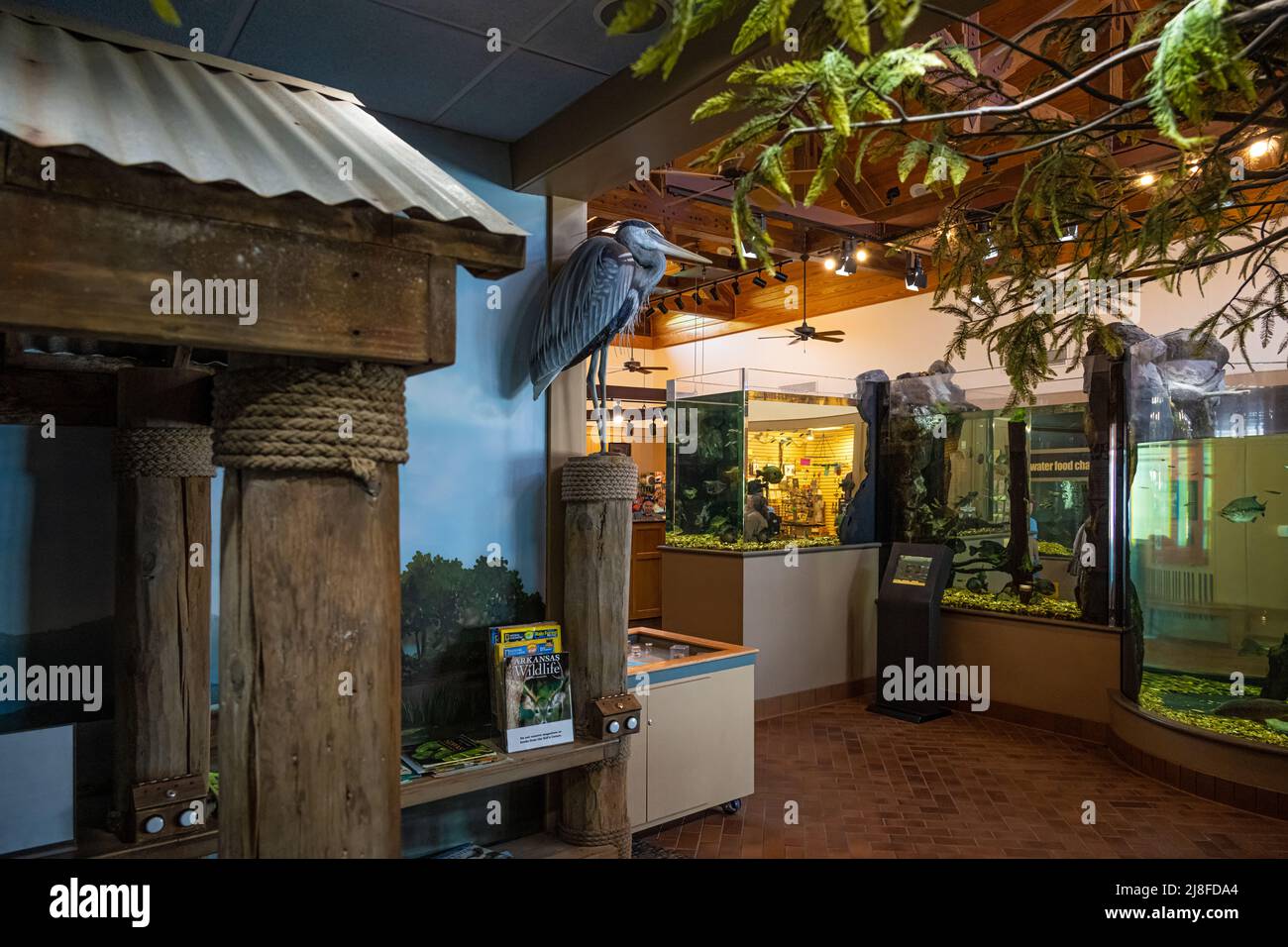 Nature exhibits and aquariums at the Lake Dardanelle State Park Visitors Center in Russellville, Arkansas. (USA) Stock Photo