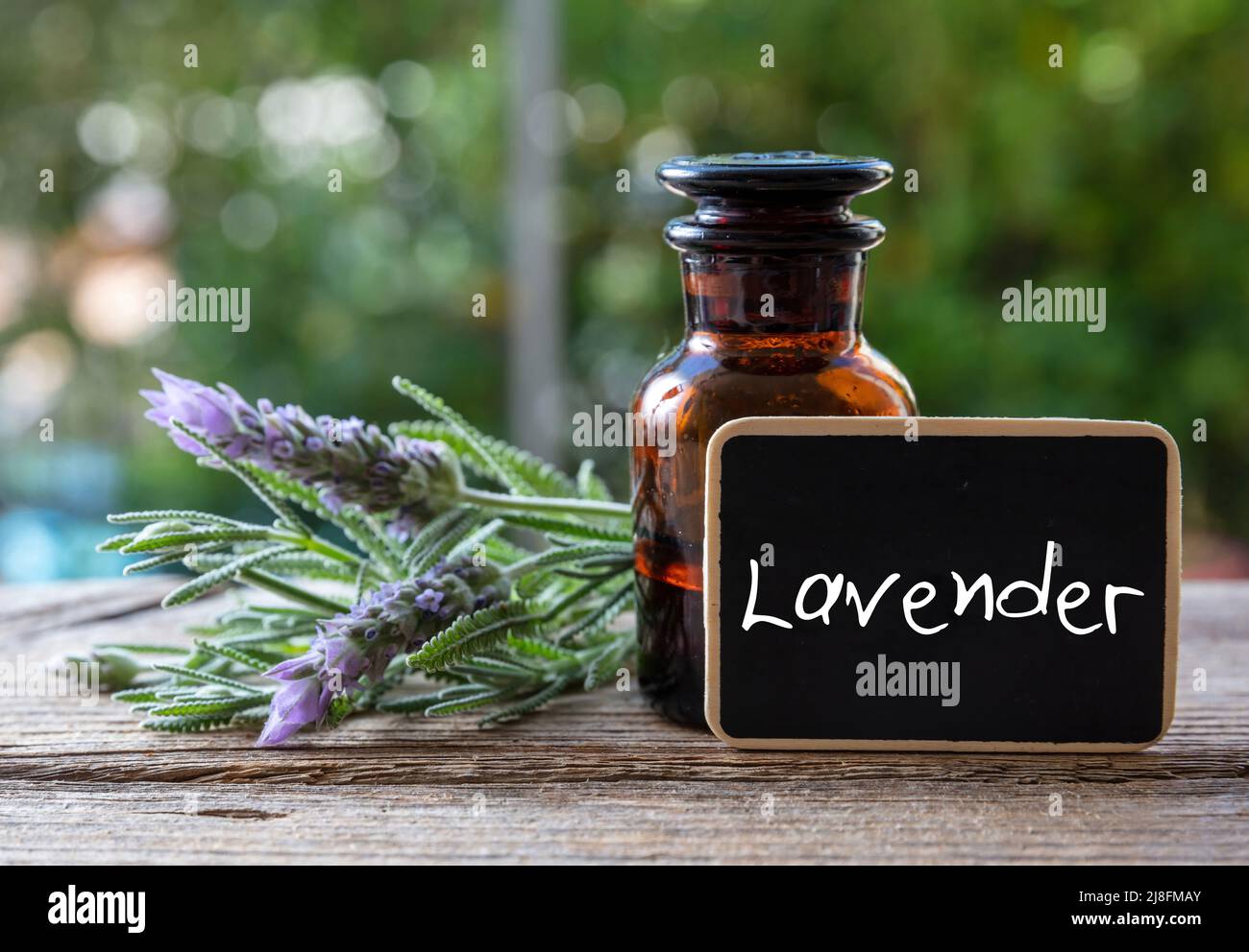 Lavender essential oil glass bottle on wooden table, close up view. Aromatherapy blooming herb, label with text Lavender, blur nature background Stock Photo