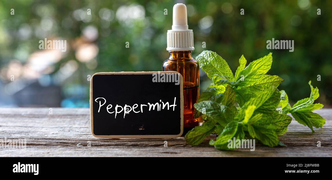 Peppermint mint essential oil glass bottle on wooden table, close up view. Aromatherapy herb, label with text, blur nature background Stock Photo