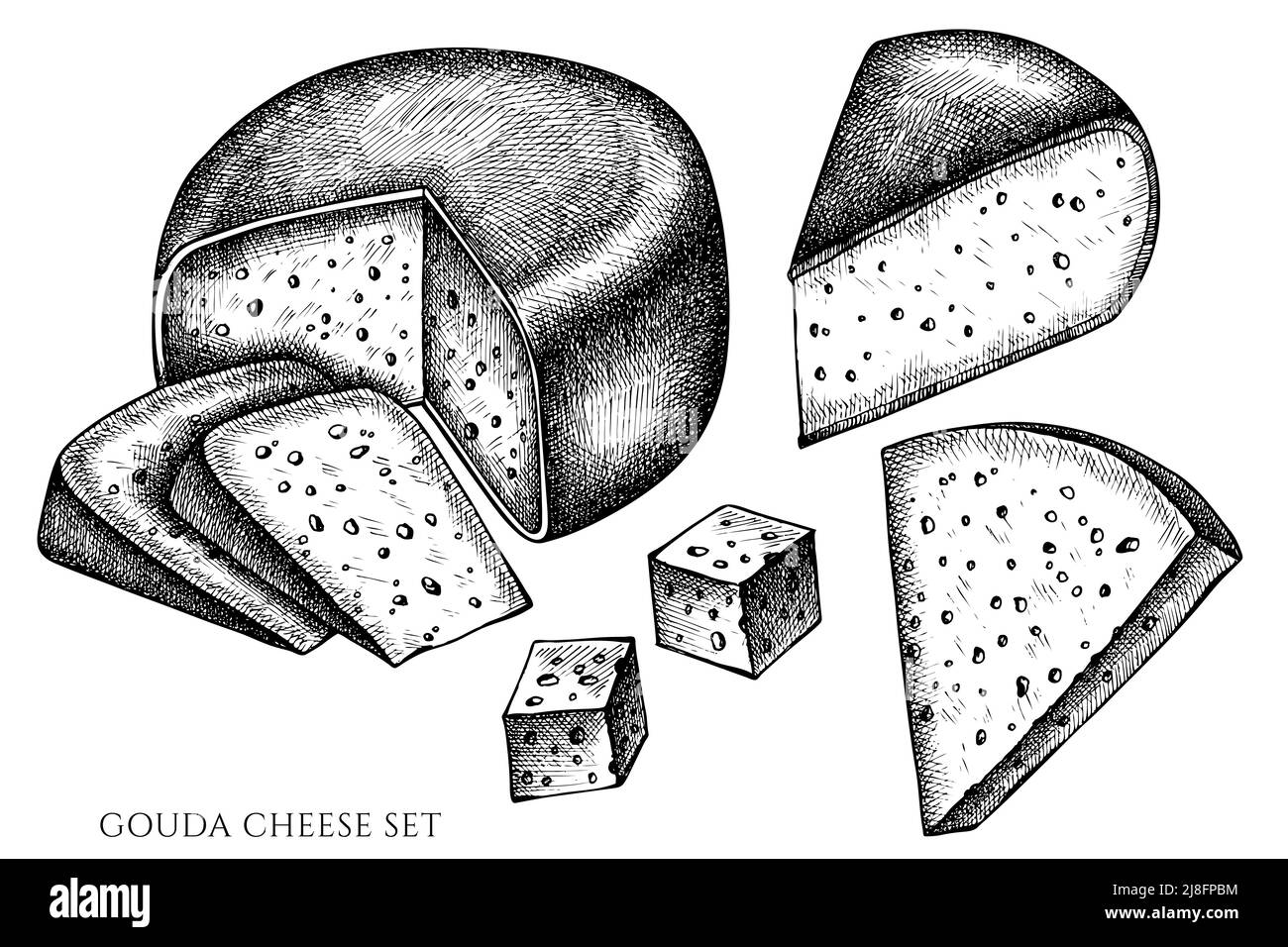 Cheese vintage vector illustrations collection. Black and white gouda cheese. Stock Vector